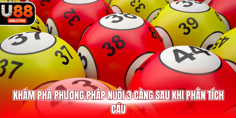 Khám phá phương pháp nuôi 3 càng sau khi phân tích cầu